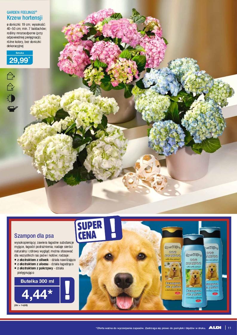 Gazetka promocyjna ALDI str. 11
