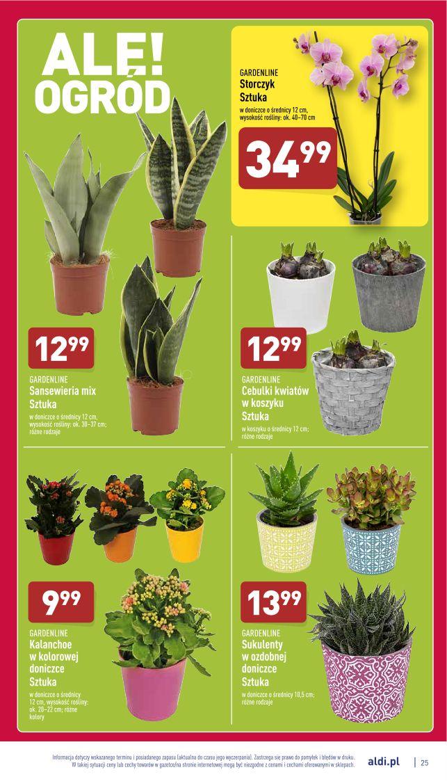 Gazetka promocyjna ALDI str. 25