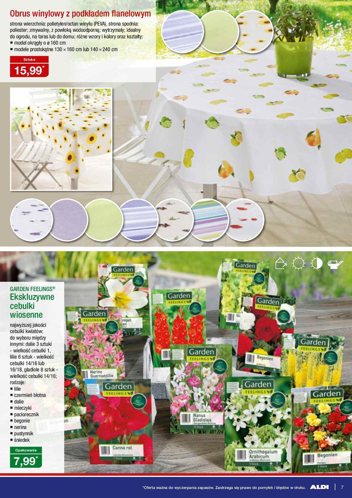 Gazetka promocyjna ALDI str. 7