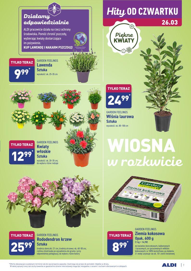 Gazetka promocyjna ALDI str. 7