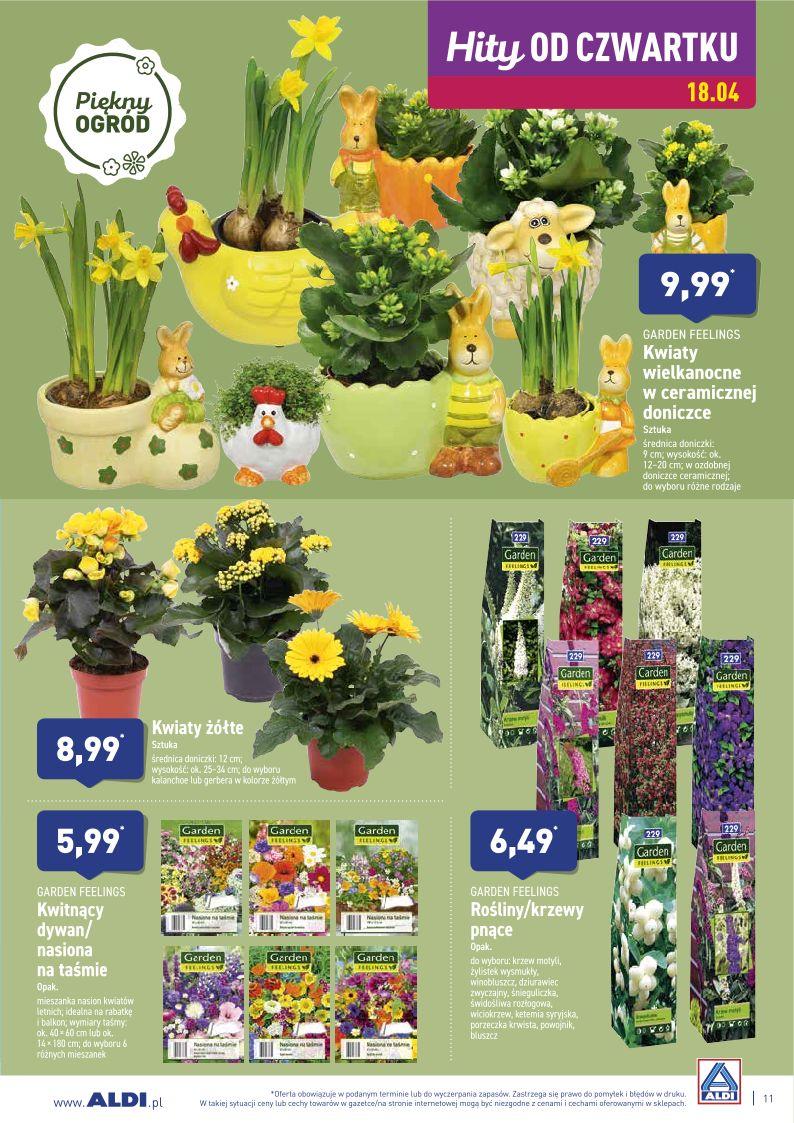 Gazetka promocyjna ALDI str. 11