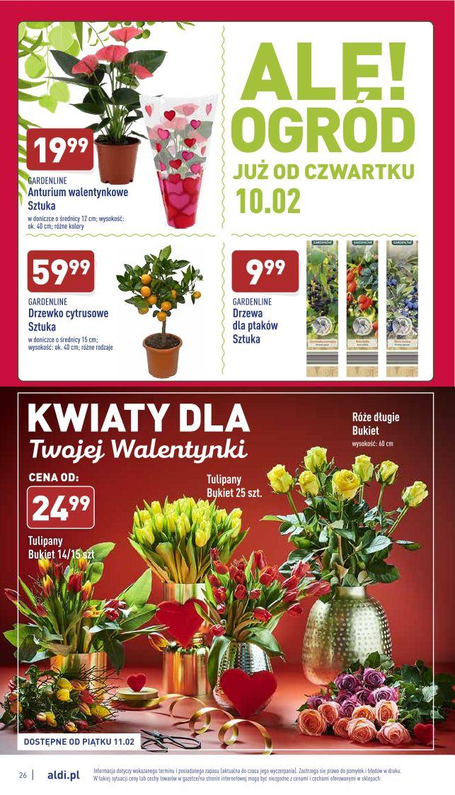 Gazetka promocyjna ALDI str. 26