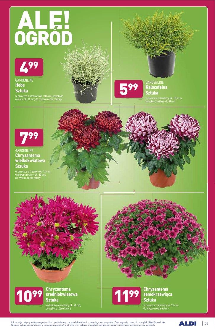 Gazetka promocyjna ALDI str. 27
