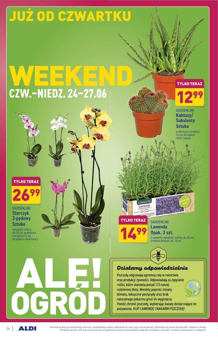 Gazetka promocyjna ALDI str. 24