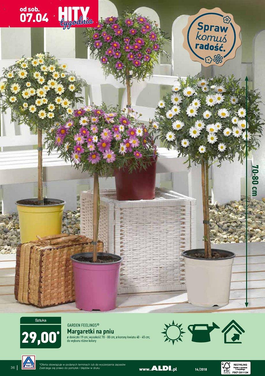 Gazetka promocyjna ALDI str. 36