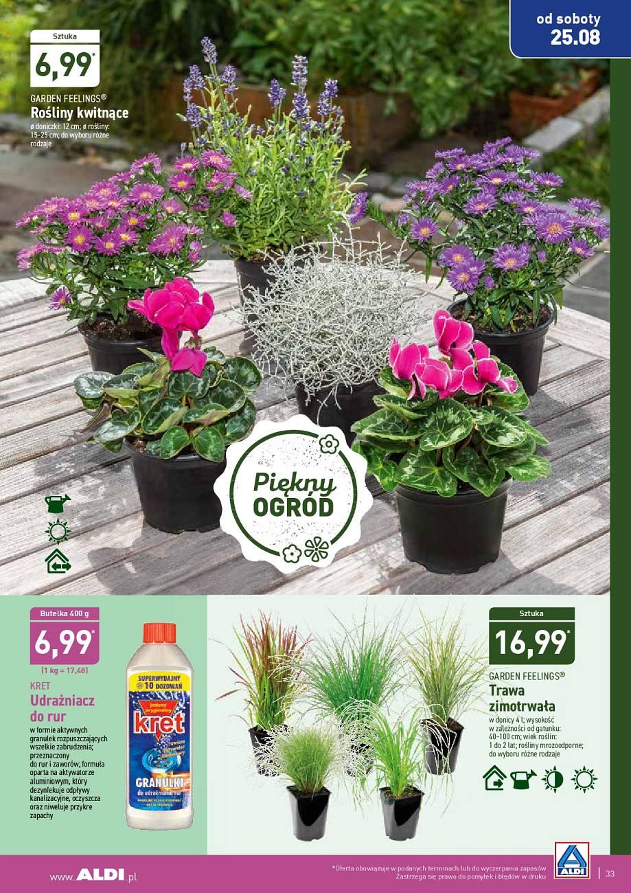 Gazetka promocyjna ALDI str. 33