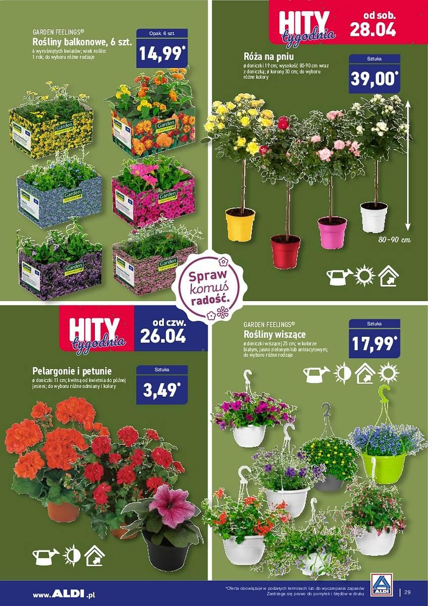 Gazetka promocyjna ALDI str. 29